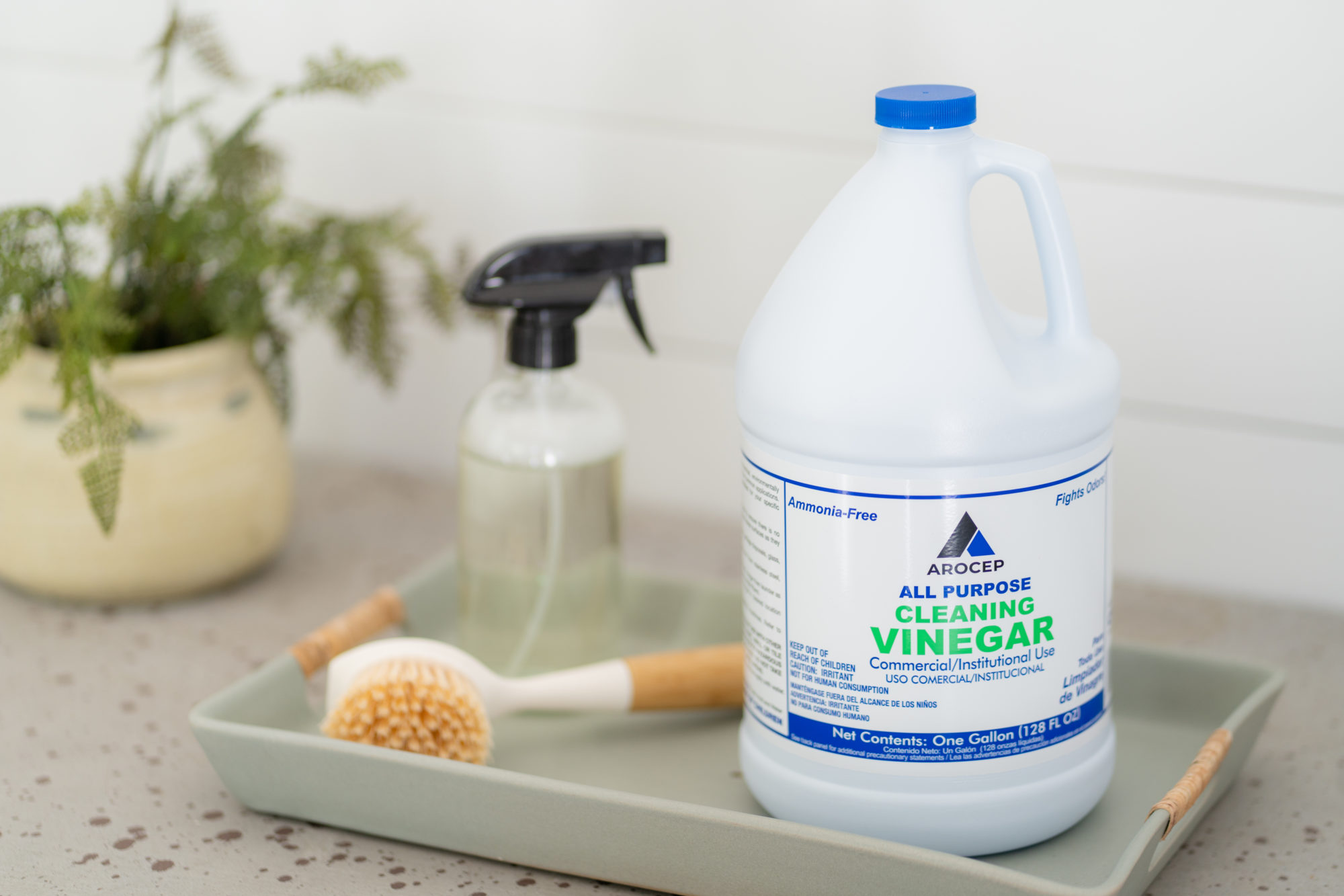 Arocep All Purpose Cleaning Vinegar CPDI